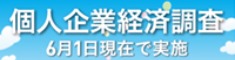 個人企業経済調査(総務省統計局)